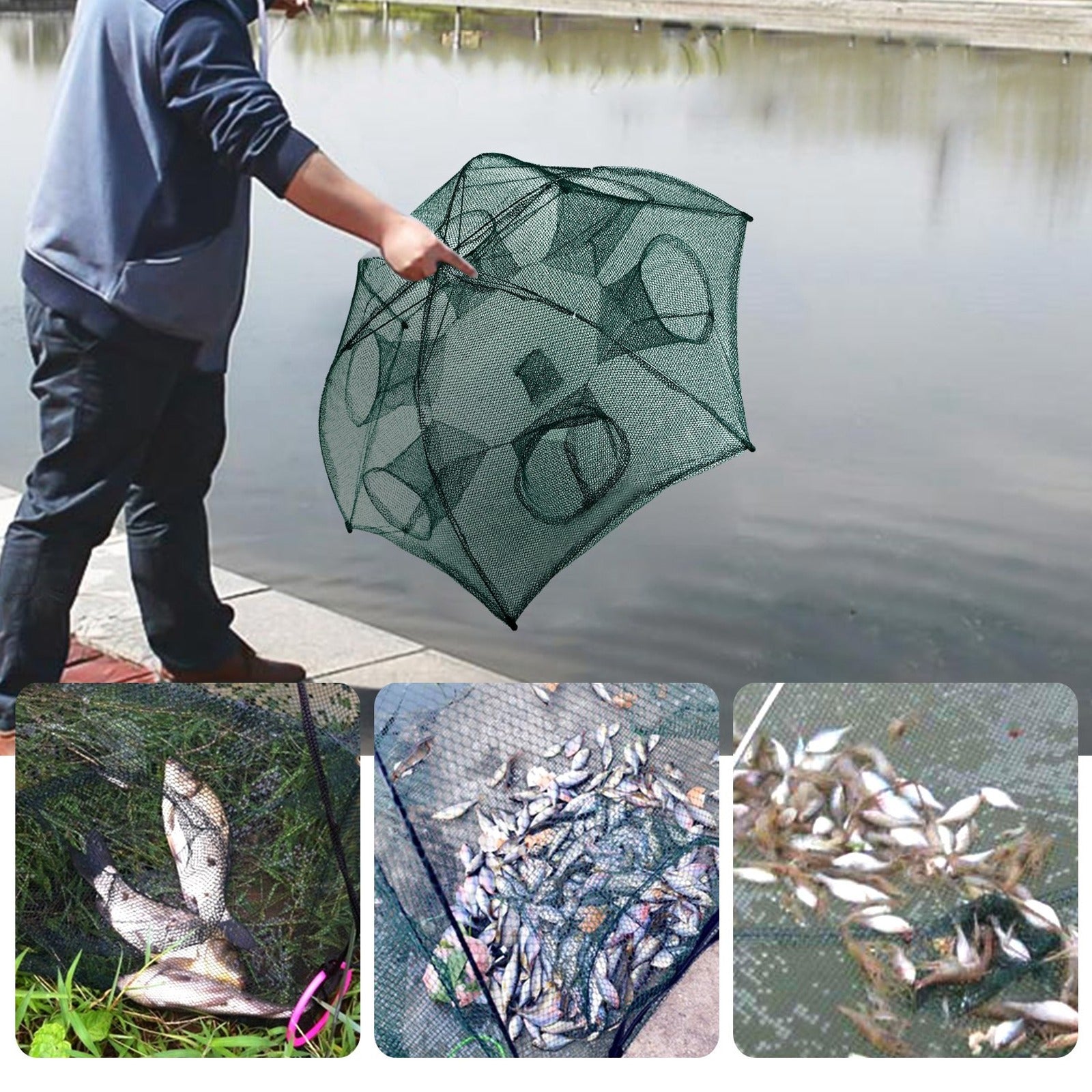 Angler lifting a bait trap net out of a lake